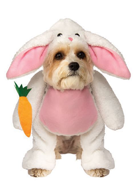 dogs dressed as bunnies